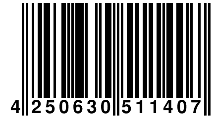 4 250630 511407