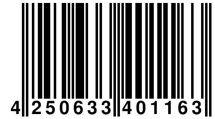 4 250633 401163