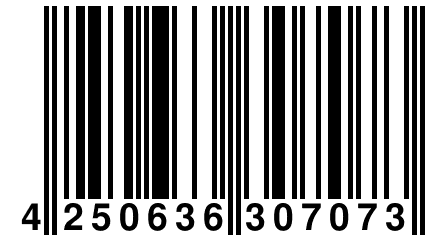 4 250636 307073