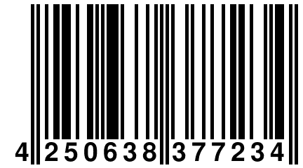 4 250638 377234