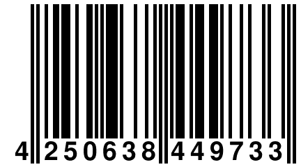 4 250638 449733