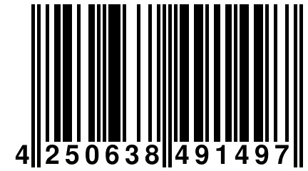 4 250638 491497