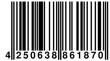 4 250638 861870