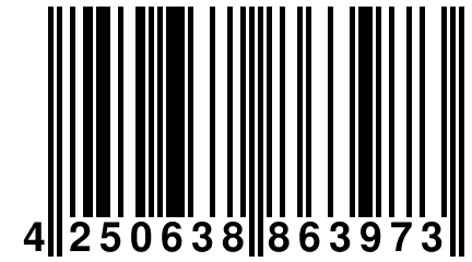 4 250638 863973