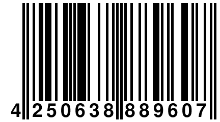 4 250638 889607