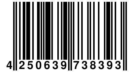 4 250639 738393