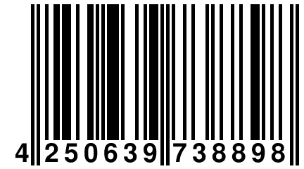 4 250639 738898