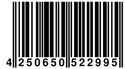 4 250650 522995