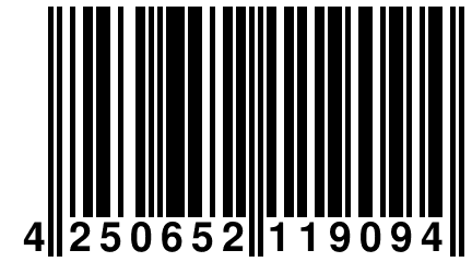 4 250652 119094