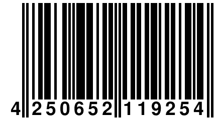 4 250652 119254