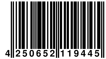 4 250652 119445