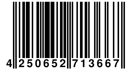 4 250652 713667