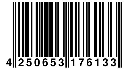 4 250653 176133