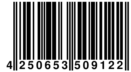 4 250653 509122