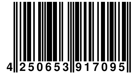 4 250653 917095