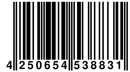 4 250654 538831