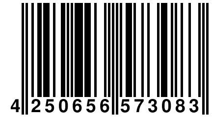 4 250656 573083