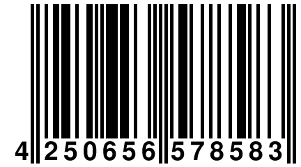 4 250656 578583