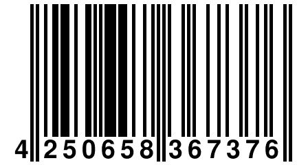 4 250658 367376