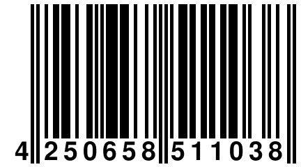 4 250658 511038