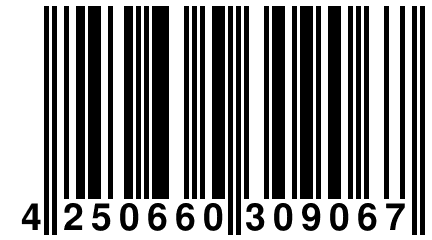 4 250660 309067