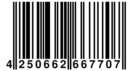 4 250662 667707