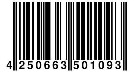 4 250663 501093