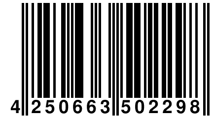 4 250663 502298