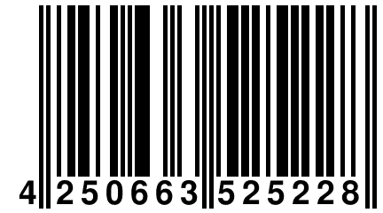 4 250663 525228