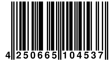 4 250665 104537