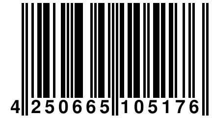 4 250665 105176