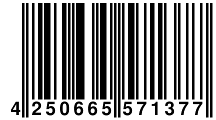 4 250665 571377