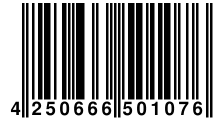 4 250666 501076