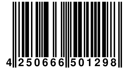 4 250666 501298