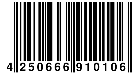 4 250666 910106