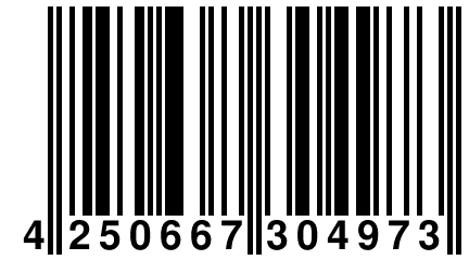 4 250667 304973