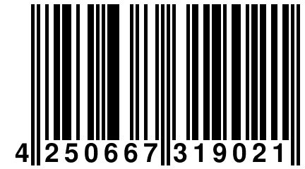 4 250667 319021