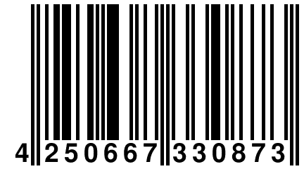 4 250667 330873