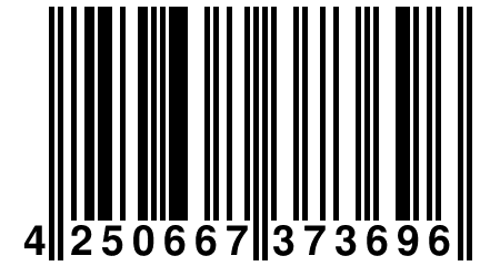 4 250667 373696