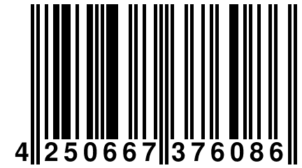 4 250667 376086