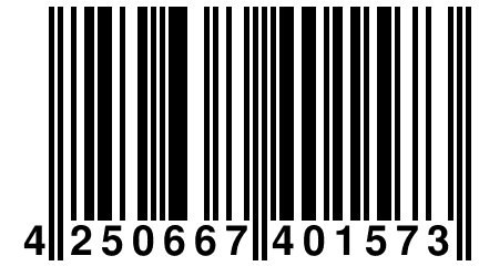 4 250667 401573