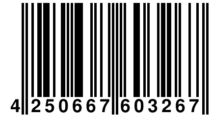 4 250667 603267