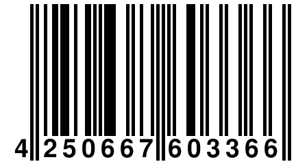 4 250667 603366