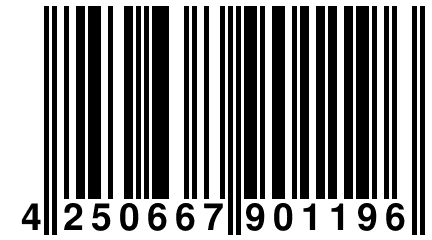 4 250667 901196