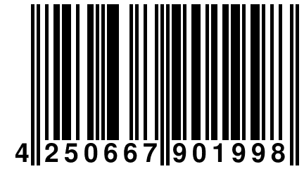 4 250667 901998