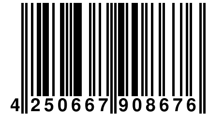 4 250667 908676