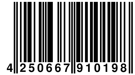 4 250667 910198