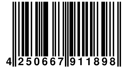 4 250667 911898