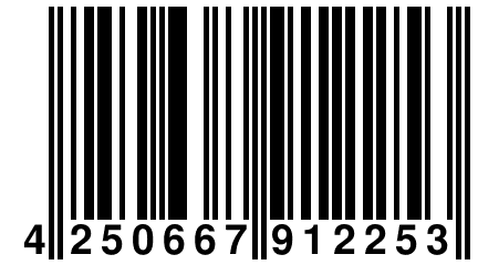 4 250667 912253