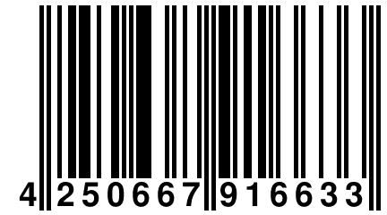 4 250667 916633